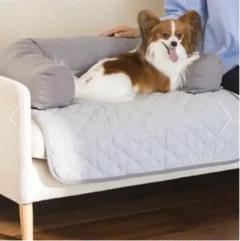 ソファを傷つけないペット専用ソファ「ソファオンソファ」