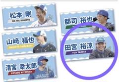 北海道日本ハムファイターズ　日ハム　野村祐希　清宮幸太郎　推しペアクッション 日本ハムファイターズ 推しペアクッション 野村祐希＆清宮幸太郎
