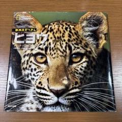 ヒョウ　動物大せっきん　ナショナルジオグラフィック　初版　絶版　希少本