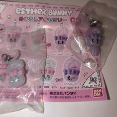 バニーめじるしアクセサリー