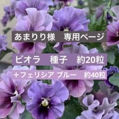 2025年最新】ビオラレディの人気アイテム - メルカリ
