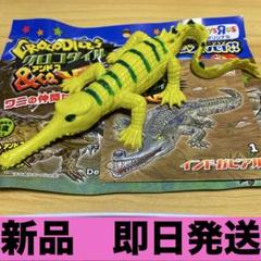 クロコダイル&co. アンドコ　インドガビアル