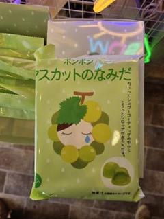 ポワルン様専用 新品未開封☆マスカットのなみだ13点セット 食品