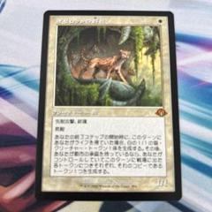 MTG オセロットの群れ 旧枠 日本語 - メルカリ