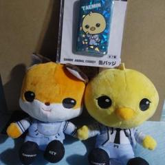 2025年最新】ShiNee animal coordy ちょこんとおすわり