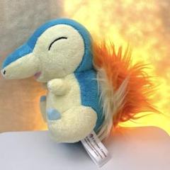 タグあり】ポケモンキャンバスワニノコヒノアラシチコリータ