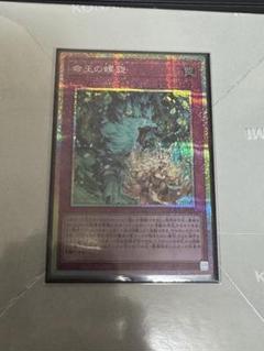 遊戯王　命王の螺旋【プリズマティックシークレットレア】