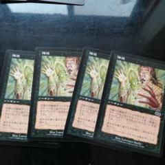 MTG 強迫(USG) 日本語版4枚セット⑤