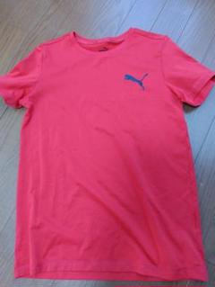 PUMAキッズ赤Tシャツ150