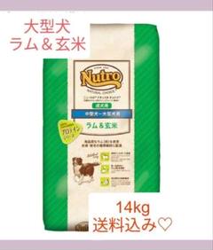 値下げ不可☆ニュートロナチュラルチョイス成犬ラム＆玄米中大型