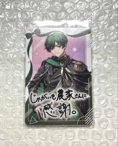 2025年最新】VOISINGチップス シクフォニの人気アイテム - メルカリ