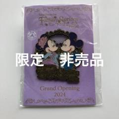 2025年最新】東京ディズニーシー オープン記念品の人気アイテム