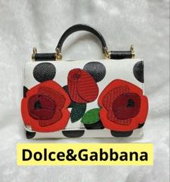 Dolce&Gabbana 立体花柄ドット フォンバッグ 非常に綺麗本物です❣️