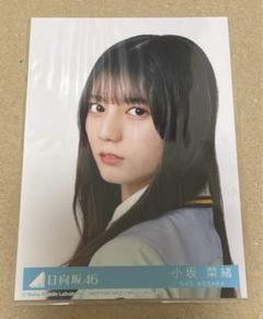 2025年最新】am i ready 小坂菜緒の人気アイテム - メルカリ