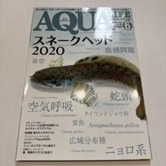アクアライフ　まとめ売り cover-al24-06-212x300.jpg