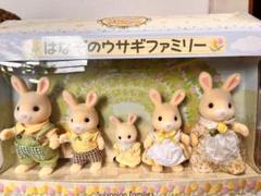 はなぞのうさぎファミリーのサムネイル