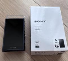 2025年最新】sony nw-a306の人気アイテム - メルカリ