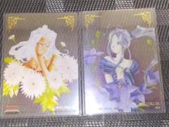 Card Album](USED) [単品] バインダー 「ああっ女神さまっ M2
