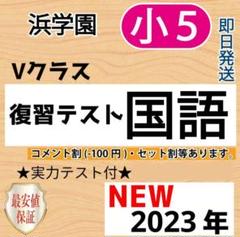 浜学園　小４　最新版　2023年　Vクラス　復習テスト 国語・算数・国語・社会 浜学園 小4 最新版 2023年 Vクラス 復習テスト 国語・算数