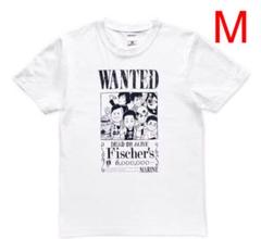 新品 フィッシャーズ × ワンピース Tシャツ Mサイズ 白 ホワイト
