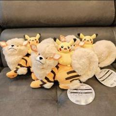 3個 ウィンディ ピカチュウ 沖縄 ポケモンセンター 1周年 記念 店舗販売限定 3個 ウィンディ ピカチュウ 沖縄 ポケモンセンター 1周年 記念