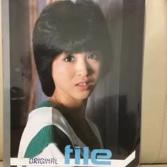 松田聖子 ファイル 写真
