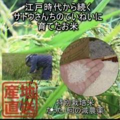 お米 令和5年 農家直送 10kg 売り上げは来年の米づくりに全て活かします お米 米 農家直送 10kg 令和5年 あきたこまち 数量限定 - メルカリ