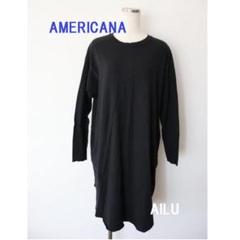 AMERICANA　ラフィー天竺バックヘンリーネックロングスリーブワンピース　F AMERICANA ラフィー天竺バックヘンリーネックロングスリーブ