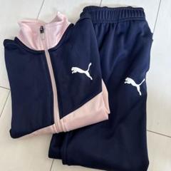 Puma ジャージ上下　ネイビー/ピンク PUMA】ジャージ 上下セット ネイビー ピンク ビックロゴ LL相当
