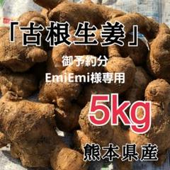 生姜 5kg 囲い生姜 農薬肥料栽培期間中不使用 熊本県産 囲い生姜 農薬肥料栽培期間中不使用 露地栽培 熊本県産 クール便