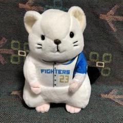 絶品】 山崎福也＆伏見寅威のスペシャル対談『さちとらに聞き