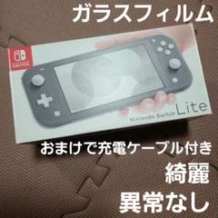 Nintendo Switch Lite グレー 9461