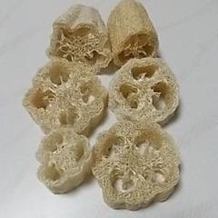 ヘチマのたわし