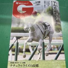 週刊ギャロップ　2004年　全巻 2025年最新】Yahoo!オークション -週刊ギャロップ 2004の中古品