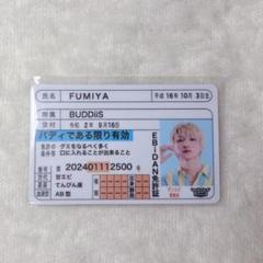 BUDDiiS FUMIYA ふみや ぬいぐるみ BUDDiiS FUMIYA ふみや ぬいぐるみ