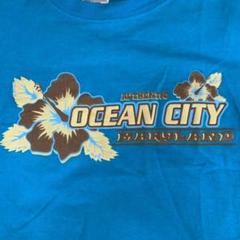 C2322【アンビルボディ水色Sサイズ】アメリカユーズドTシャツ