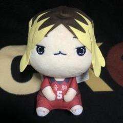 ハイキュー!! もちぴこBIGぬいぐるみ② 全2種 孤爪 黒尾 ※複数在庫有 Amazon.co.jp: ハイキュー!! もちぴこBIGぬいぐるみ② 公式 孤爪