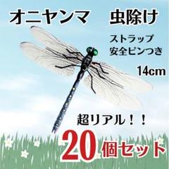 オニヤンマ科 標本 Ar 2025年最新】標本 オニヤンマの人気アイテム - メルカリ