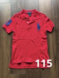 Polo Ralph Lauren 赤 ポロシャツ 115