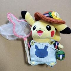 ポケモンサマーライフ ピカチュウ ぬいぐるみ Pokemon Summer Life ぬいぐるみ ピカチュウ(オス) - メルカリ