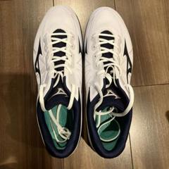 Mizuno スパイク　ライトレボバディー 28.5