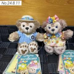 2025年最新】ケープコッド2013の人気アイテム - メルカリ