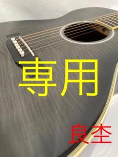 堅実な究極の ✨プロマーティン✨エレアコ✨アコースティックギター アコギ pro martin アコースティックギター エレアコ PRO MARTINの中古/未使用品 - メルカリ