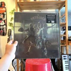 レア THE PUT BACKS レコード USED