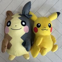 ポケットモンスター もふぐっとぬいぐるみ ピカチュウ モルペコ クマシュン