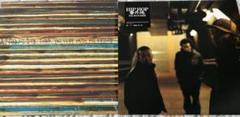 annui dub hip hop番外地 tha blue herb レコード