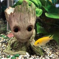 魚 おもちゃ 水槽の中古 未使用品 メルカリ