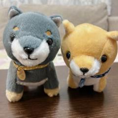豆柴 三兄弟 ぬいぐるみ 2匹 豆ジロー 豆太郎