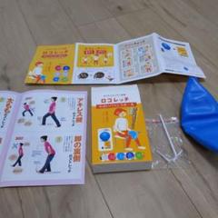 ロコレッチのサムネイル