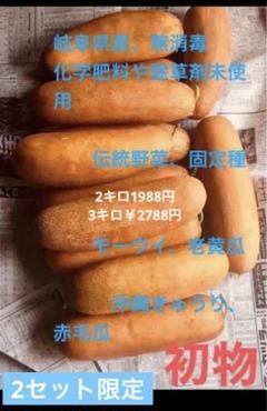 2025年最新】白瓜の人気アイテム - メルカリ
